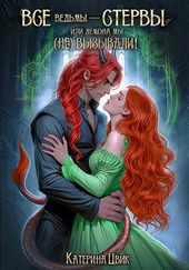 Обложка книги https://knigi.click/2830-vse-vedmy-stervy-ili-demona-my-ne-vyzyvali.html