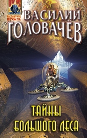 Обложка книги Тайны большого леса