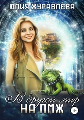 Обложка книги В другой мир на ПМЖ