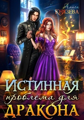 Обложка книги https://knigi.click/11609-istinnaja-problema-dlja-drakona.html