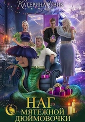 Обложка книги https://knigi.click/12969-nag-dlja-mjatezhnoj-djujmovochki-si.html